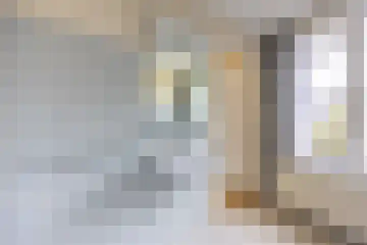 Prof. Meijerslaan 69 Rijswijk thumbnail 36