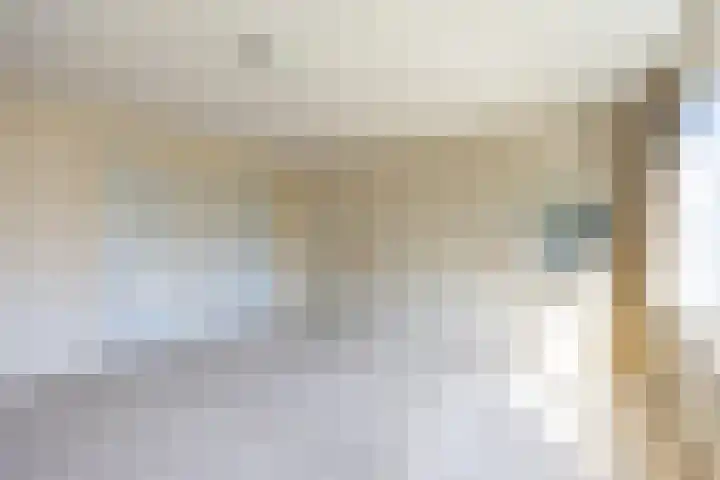 Prof. Meijerslaan 69 Rijswijk thumbnail 38