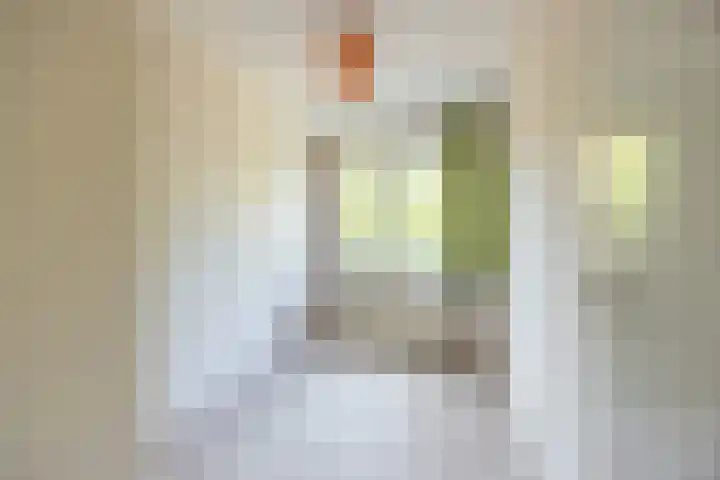 Prof. Meijerslaan 69 Rijswijk thumbnail 42