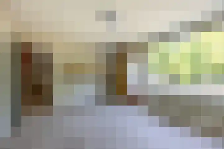 Prof. Meijerslaan 69 Rijswijk thumbnail 44