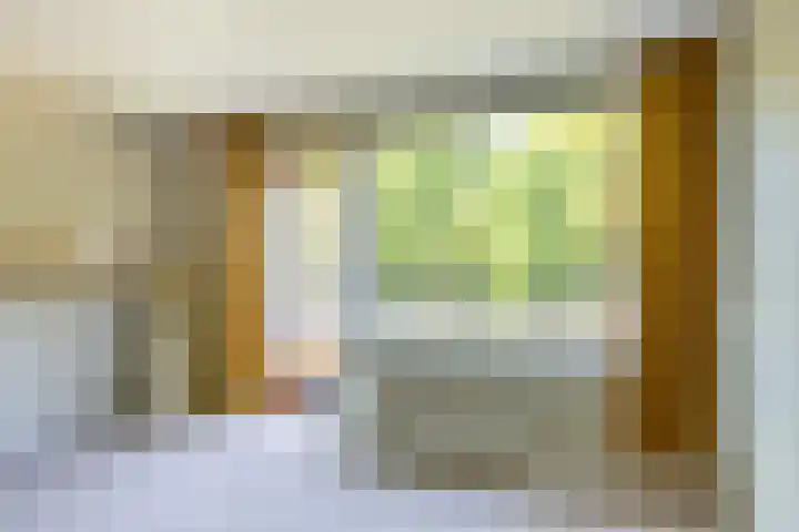 Prof. Meijerslaan 69 Rijswijk thumbnail 45