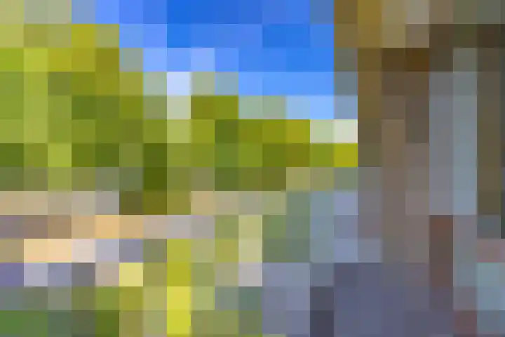 Prof. Meijerslaan 69 Rijswijk thumbnail 47