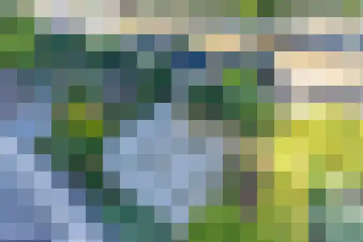 Prof. Meijerslaan 69 Rijswijk thumbnail 48