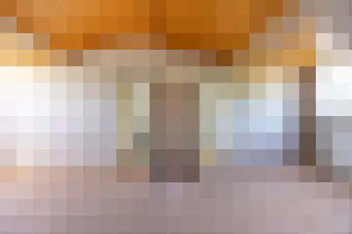 Prof. Meijerslaan 69 Rijswijk thumbnail 51