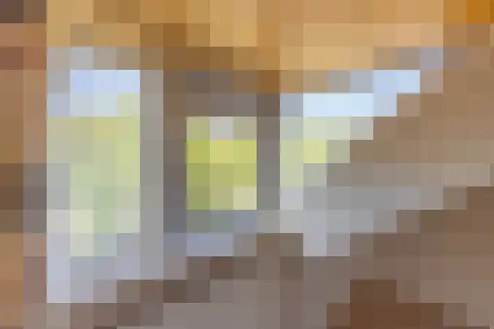Prof. Meijerslaan 69 Rijswijk thumbnail 54
