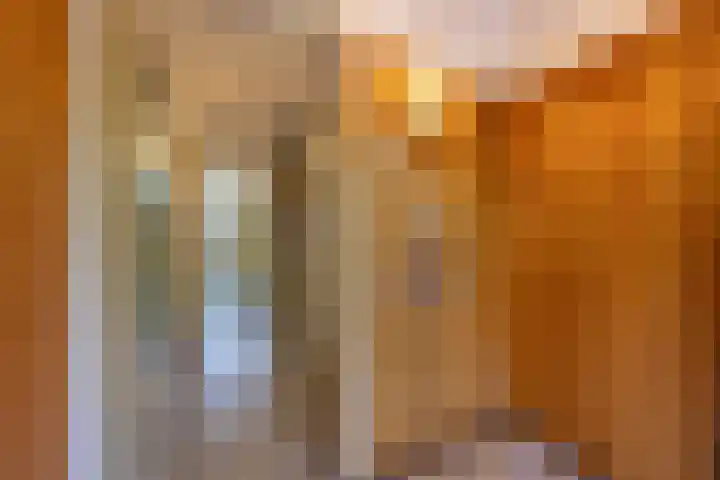 Prof. Meijerslaan 69 Rijswijk thumbnail 58