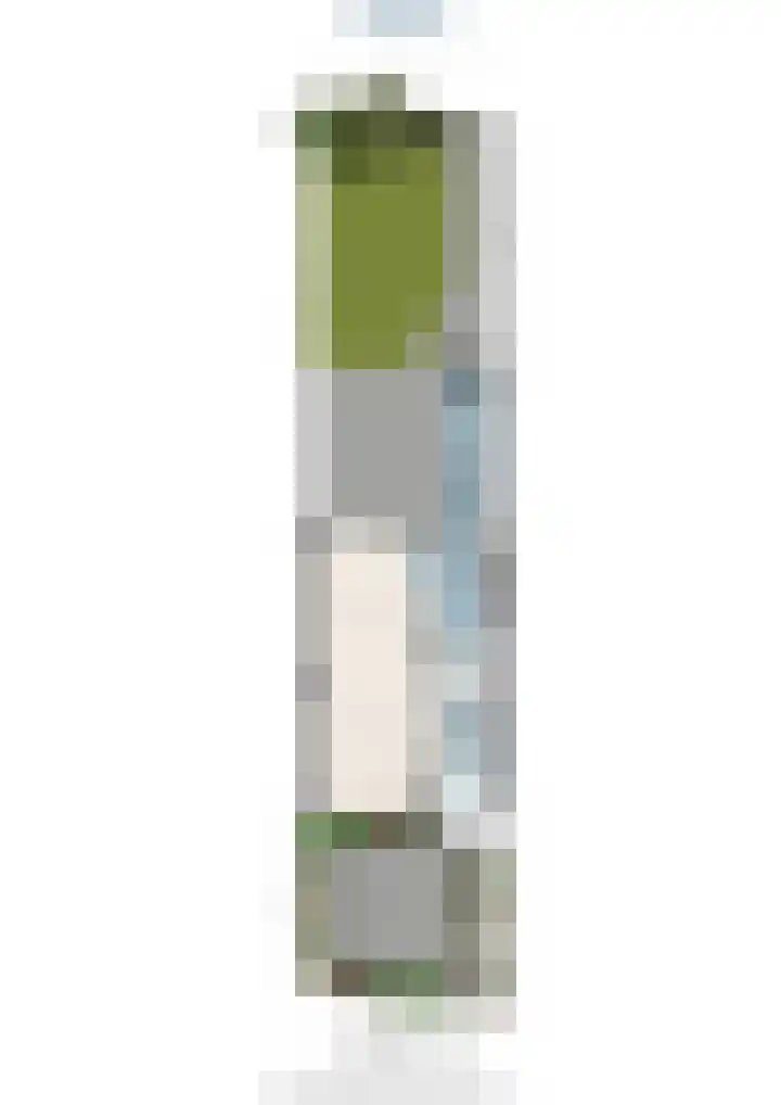 Prof. Meijerslaan 69 Rijswijk thumbnail 70