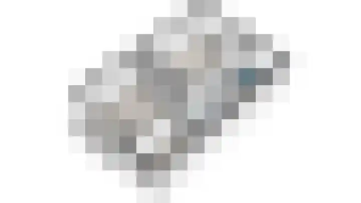 Prof. Meijerslaan 69 Rijswijk thumbnail 74