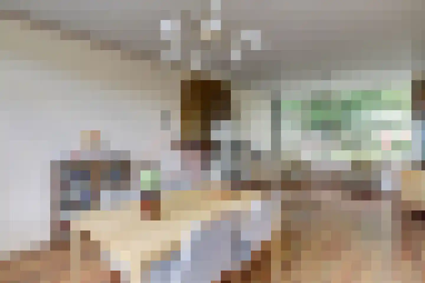 Prof. Mekelstraat 25 Zwijndrecht thumbnail 13