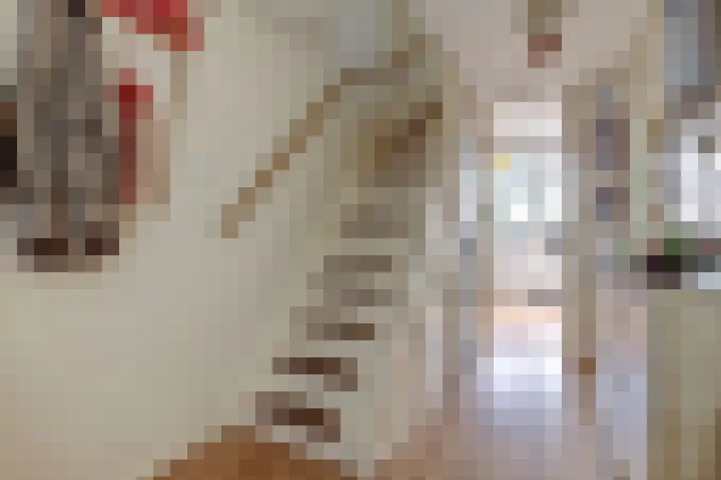 Prof. Mekelstraat 25 Zwijndrecht thumbnail 7