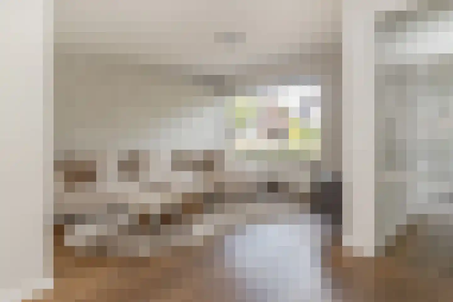 Prof. Mentenlaan 18 Limbricht thumbnail 12