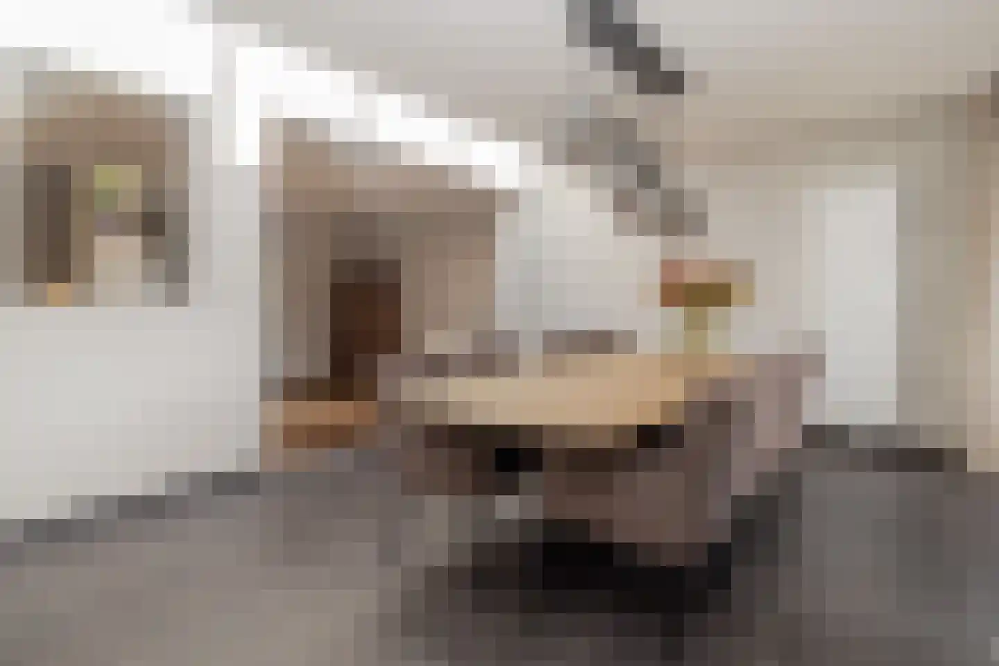 Prof. Mentenlaan 18 Limbricht thumbnail 21