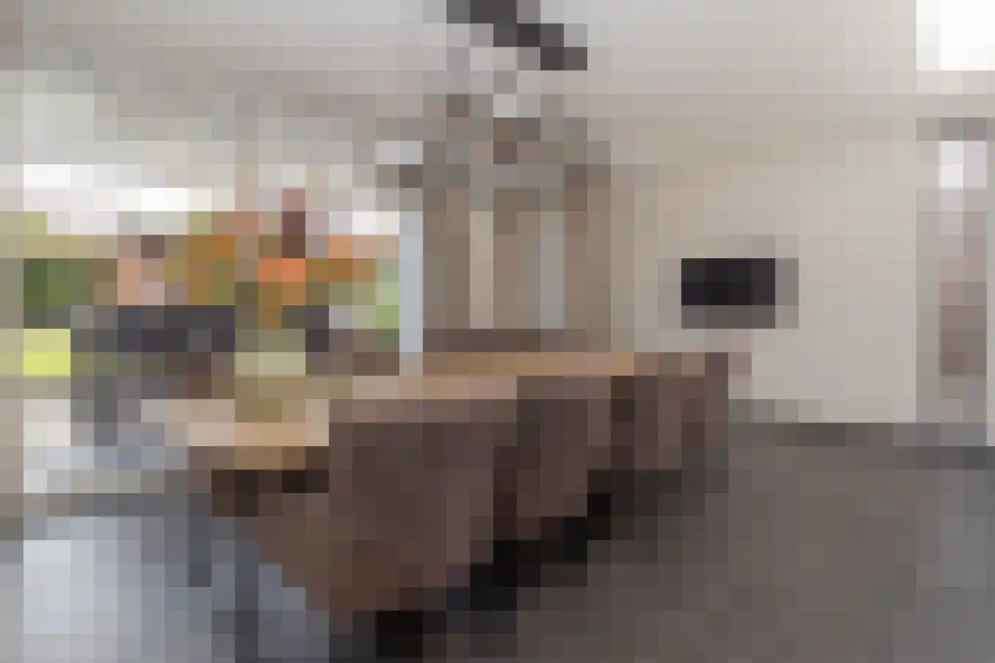 Prof. Mentenlaan 18 Limbricht thumbnail 22