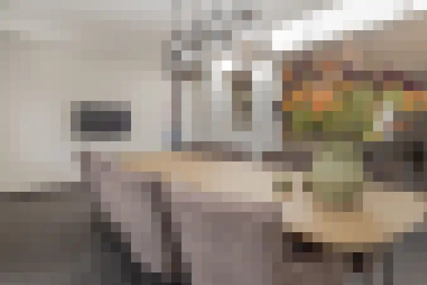 Prof. Mentenlaan 18 Limbricht thumbnail 23