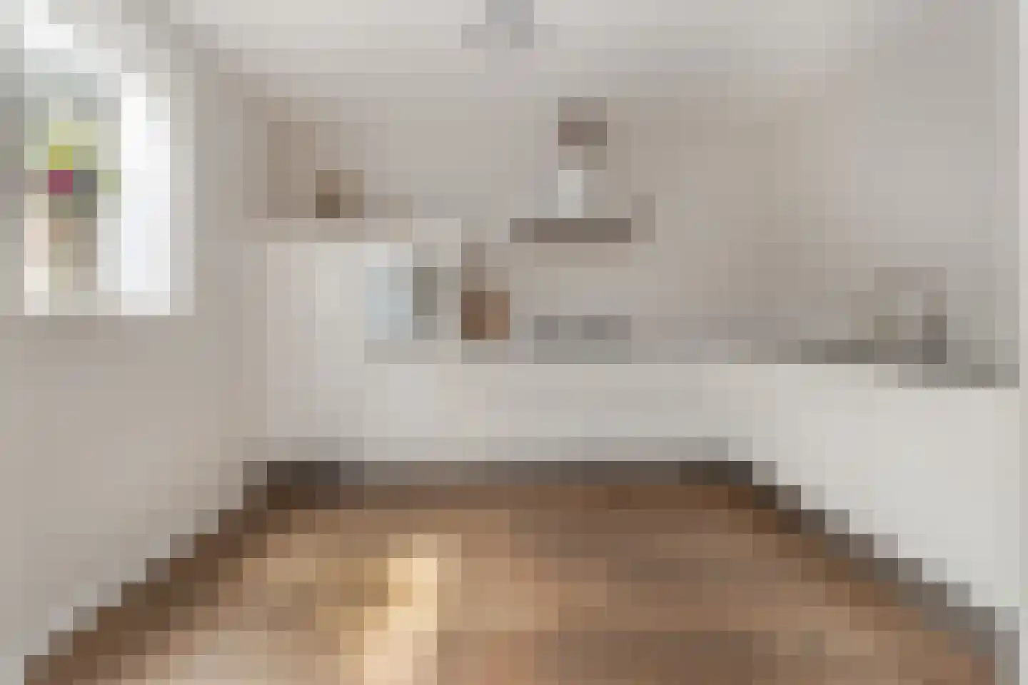 Prof. Mentenlaan 18 Limbricht foto 3