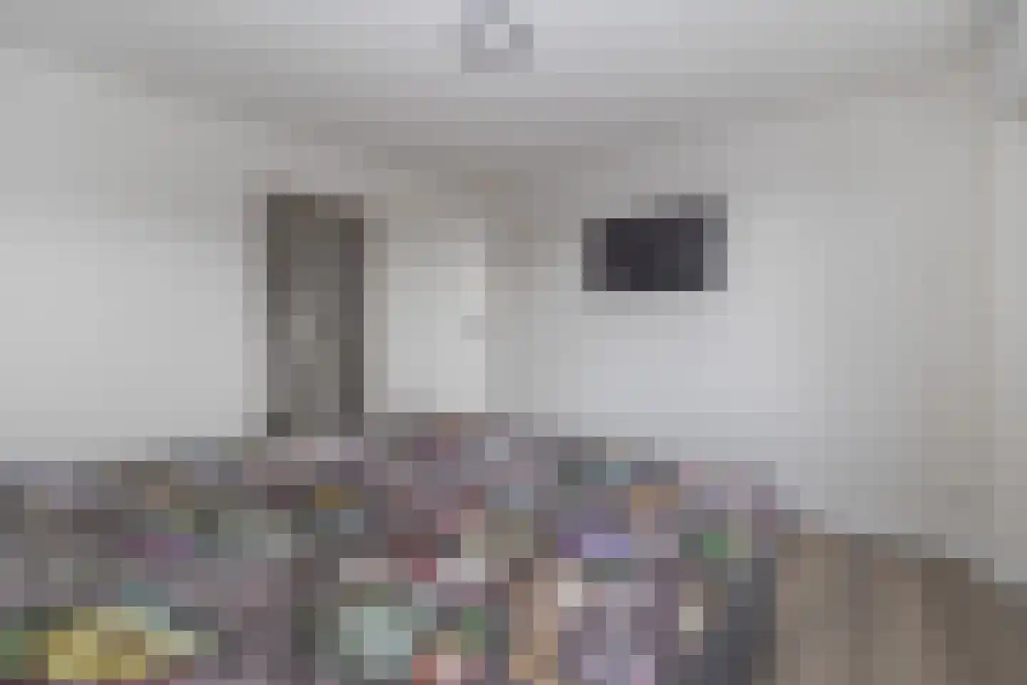 Prof. Mentenlaan 18 Limbricht thumbnail 30