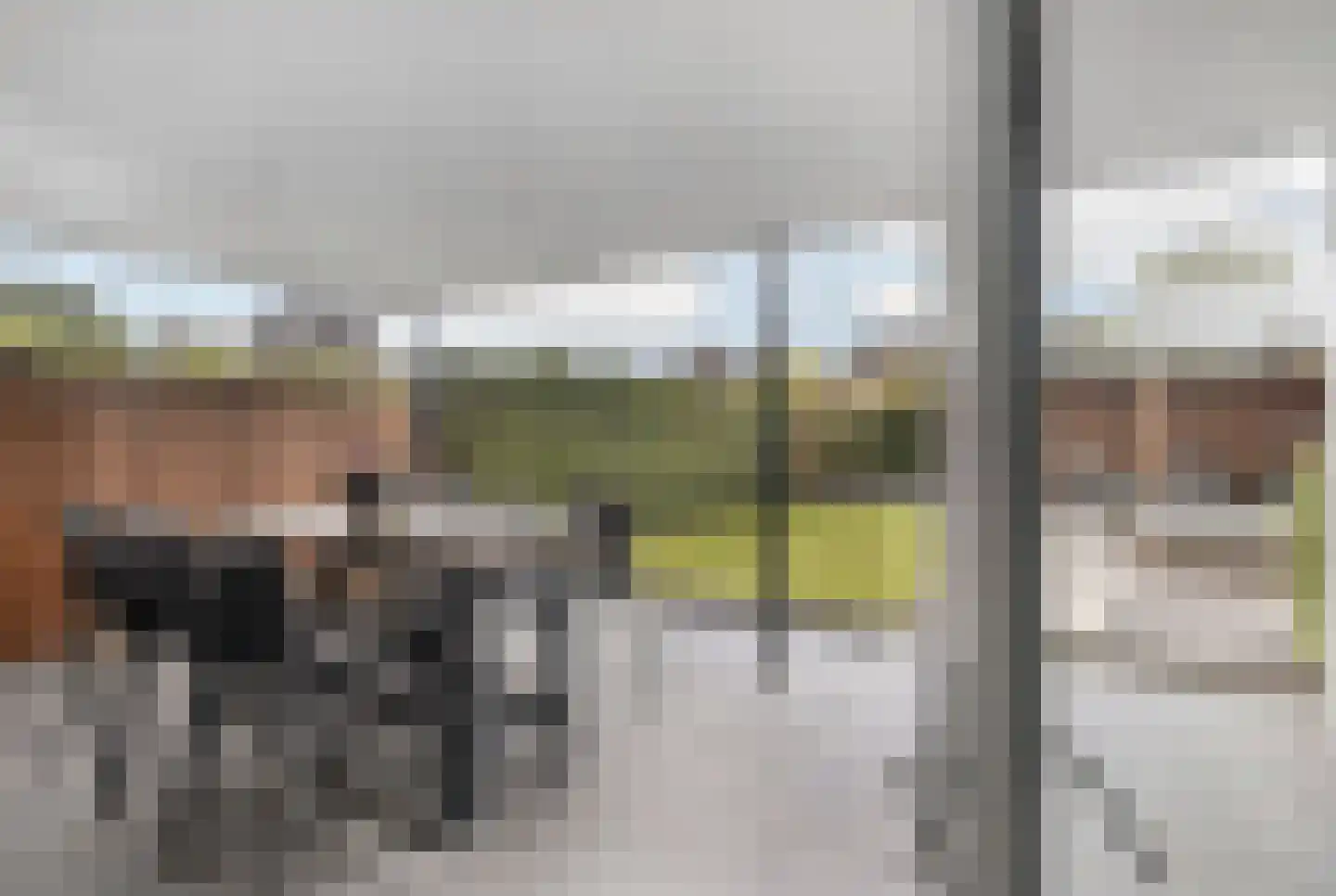 Prof. Mentenlaan 18 Limbricht thumbnail 34