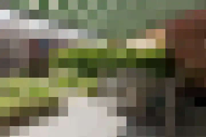 Prof. Meulenbergstraat 10 Wageningen thumbnail 29