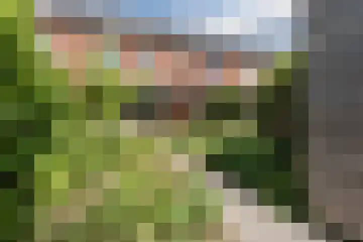 Prof. Meulenbergstraat 10 Wageningen thumbnail 32