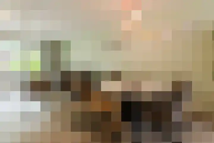 Prof. Meulenbergstraat 10 Wageningen thumbnail 7