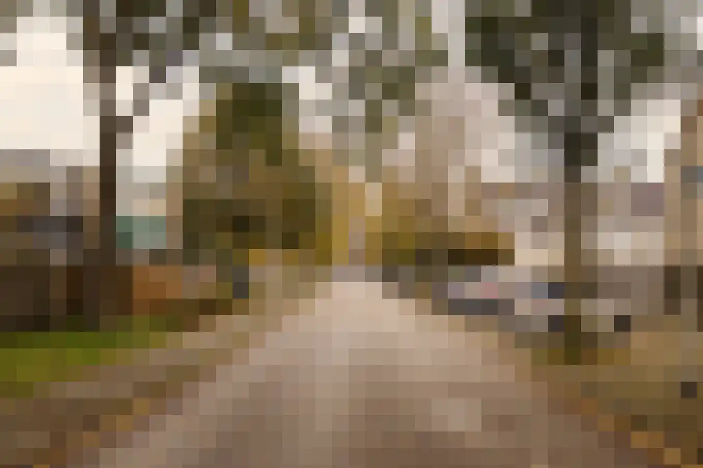 Prof. Molenaarlaan 25 Wassenaar thumbnail 40