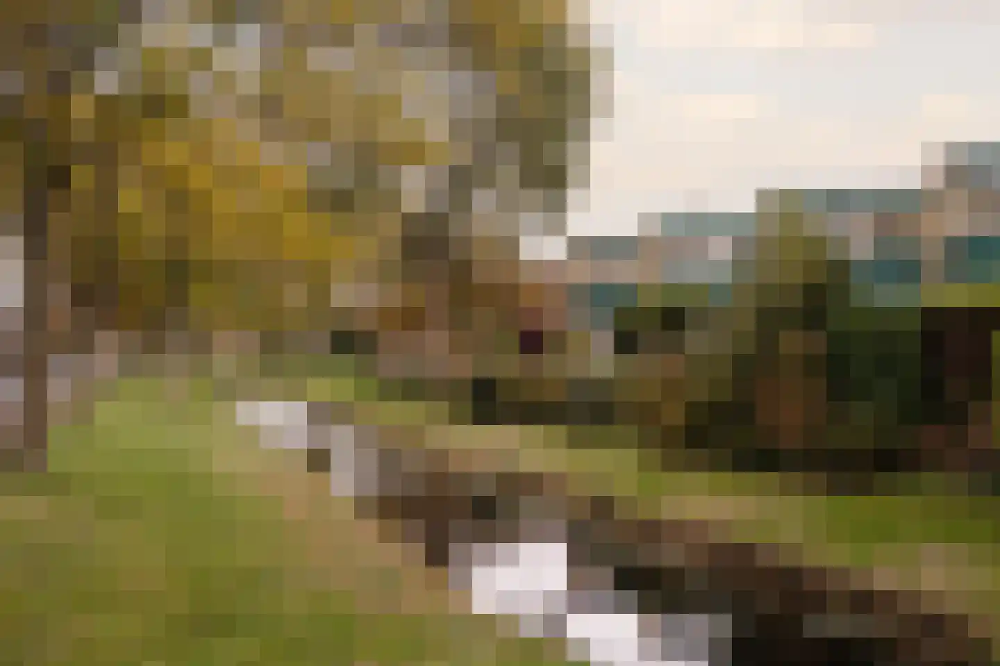 Prof. Molenaarlaan 25 Wassenaar thumbnail 41