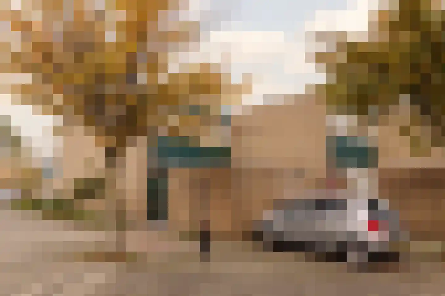 Prof. Molenaarlaan 25 Wassenaar thumbnail 5