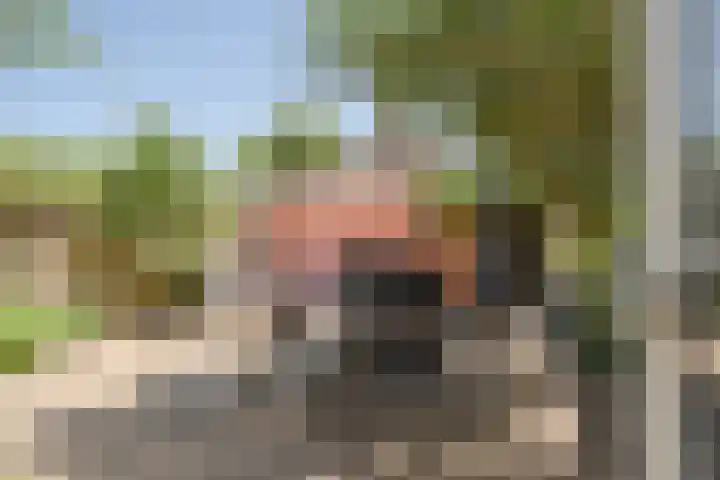 Prof. Molenaarlaan 32 Wassenaar thumbnail 15
