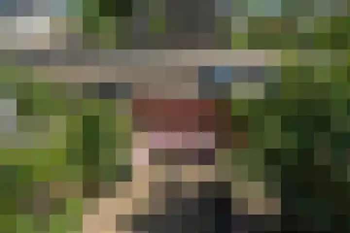 Prof. Molenaarlaan 32 Wassenaar thumbnail 28