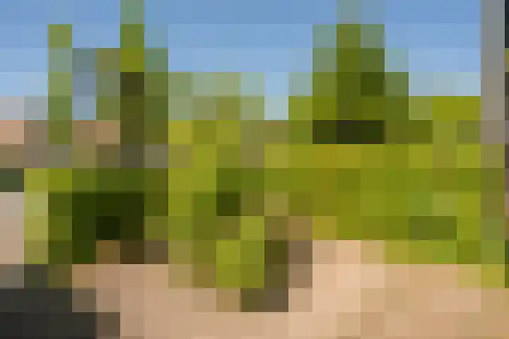 Prof. Molenaarlaan 32 Wassenaar thumbnail 34