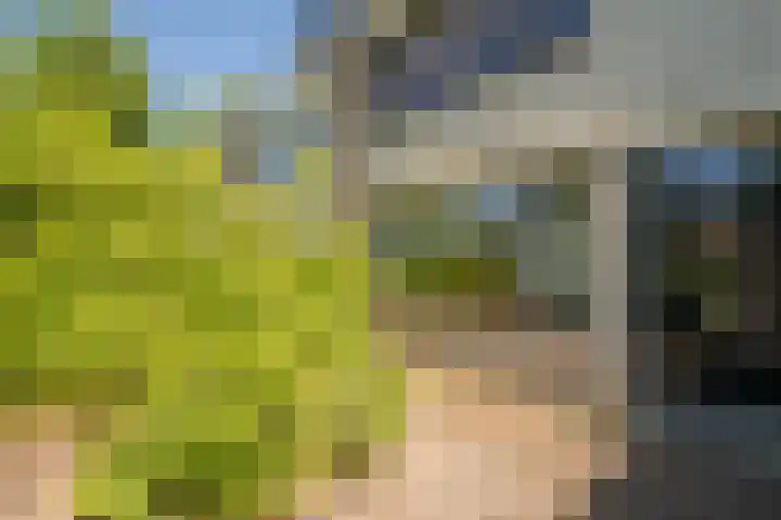 Prof. Molenaarlaan 32 Wassenaar thumbnail 4