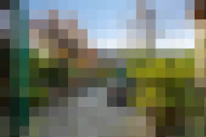 Prof. Molenaarlaan 49 Wassenaar thumbnail 14