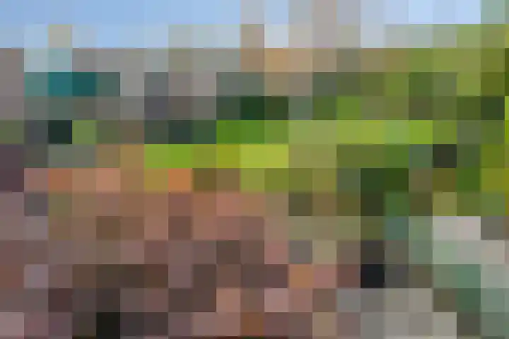 Prof. Molenaarlaan 49 Wassenaar thumbnail 30