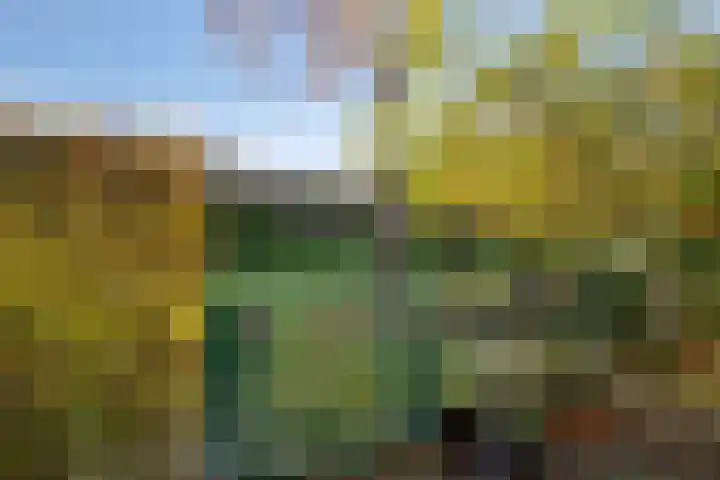 Prof. Molenaarlaan 49 Wassenaar thumbnail 36