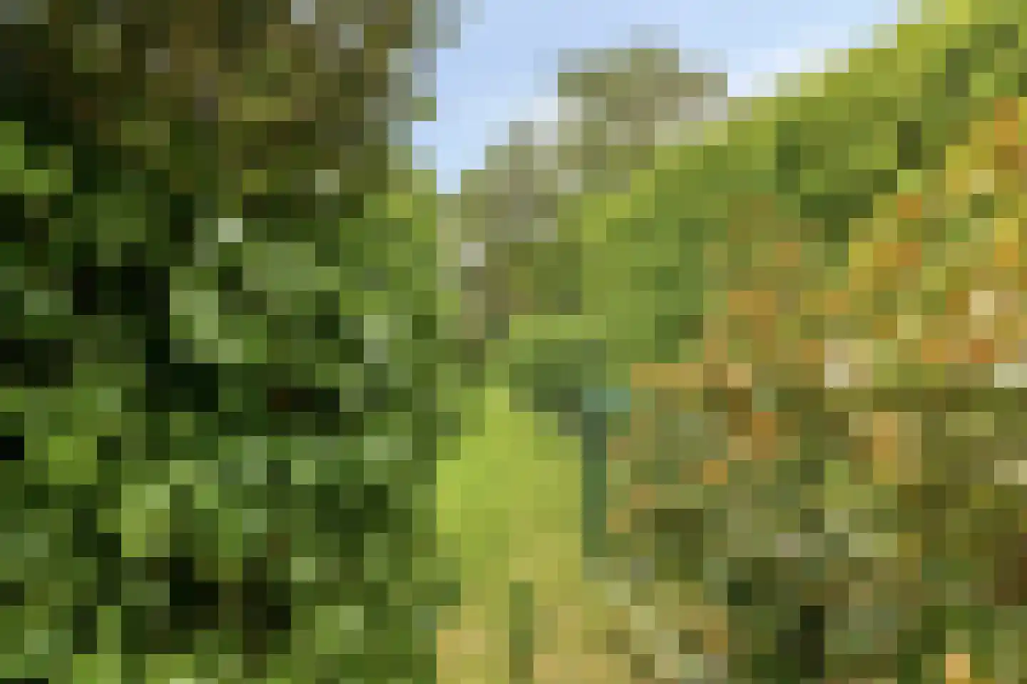 Prof. Molenaarlaan 55 Wassenaar thumbnail 19