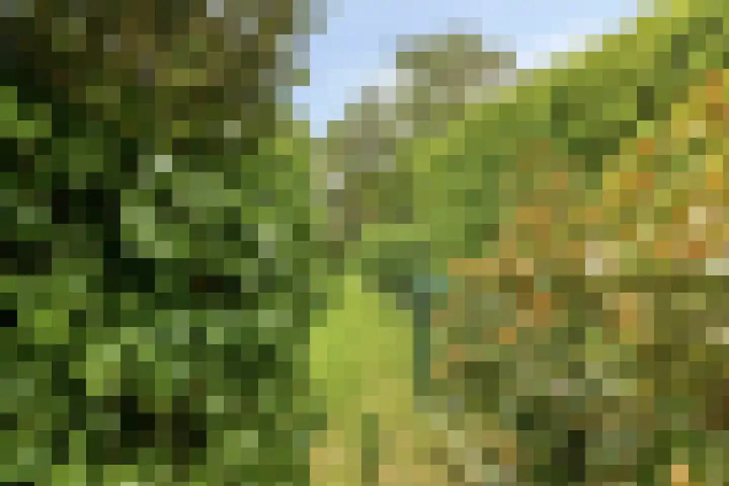 Prof. Molenaarlaan 55 Wassenaar thumbnail 19