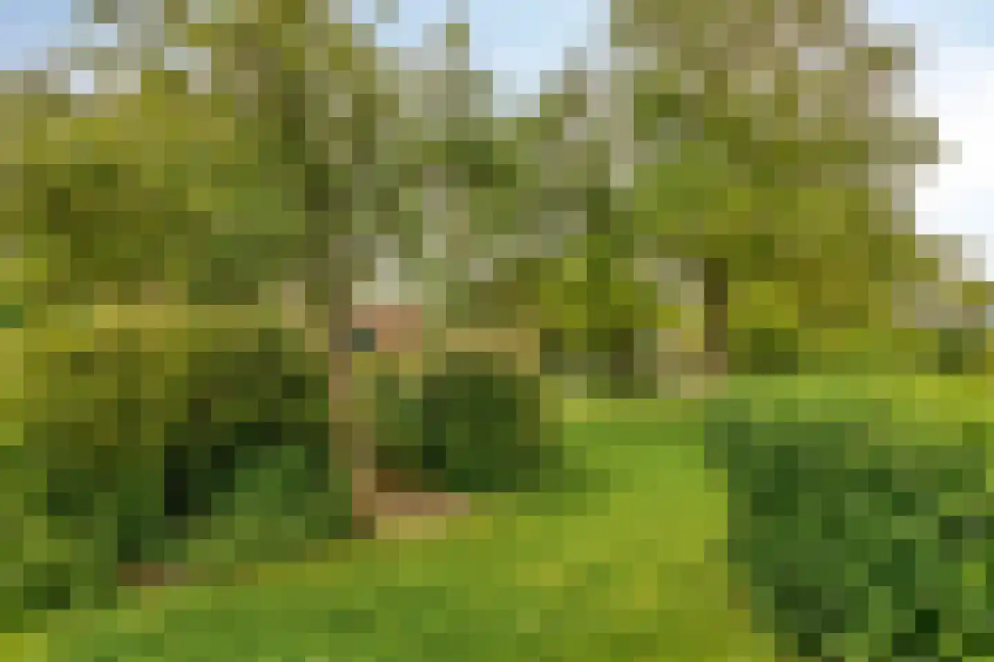 Prof. Molenaarlaan 55 Wassenaar thumbnail 20