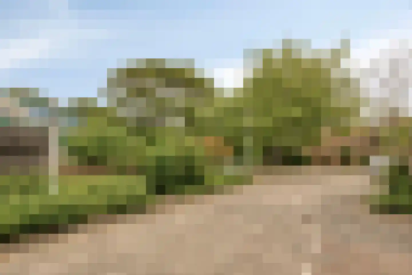 Prof. Molenaarlaan 55 Wassenaar thumbnail 32