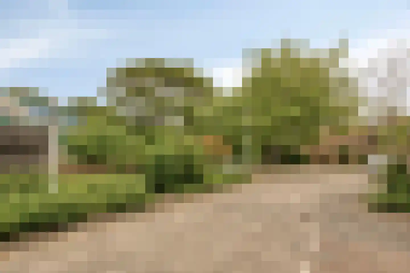 Prof. Molenaarlaan 55 Wassenaar thumbnail 32
