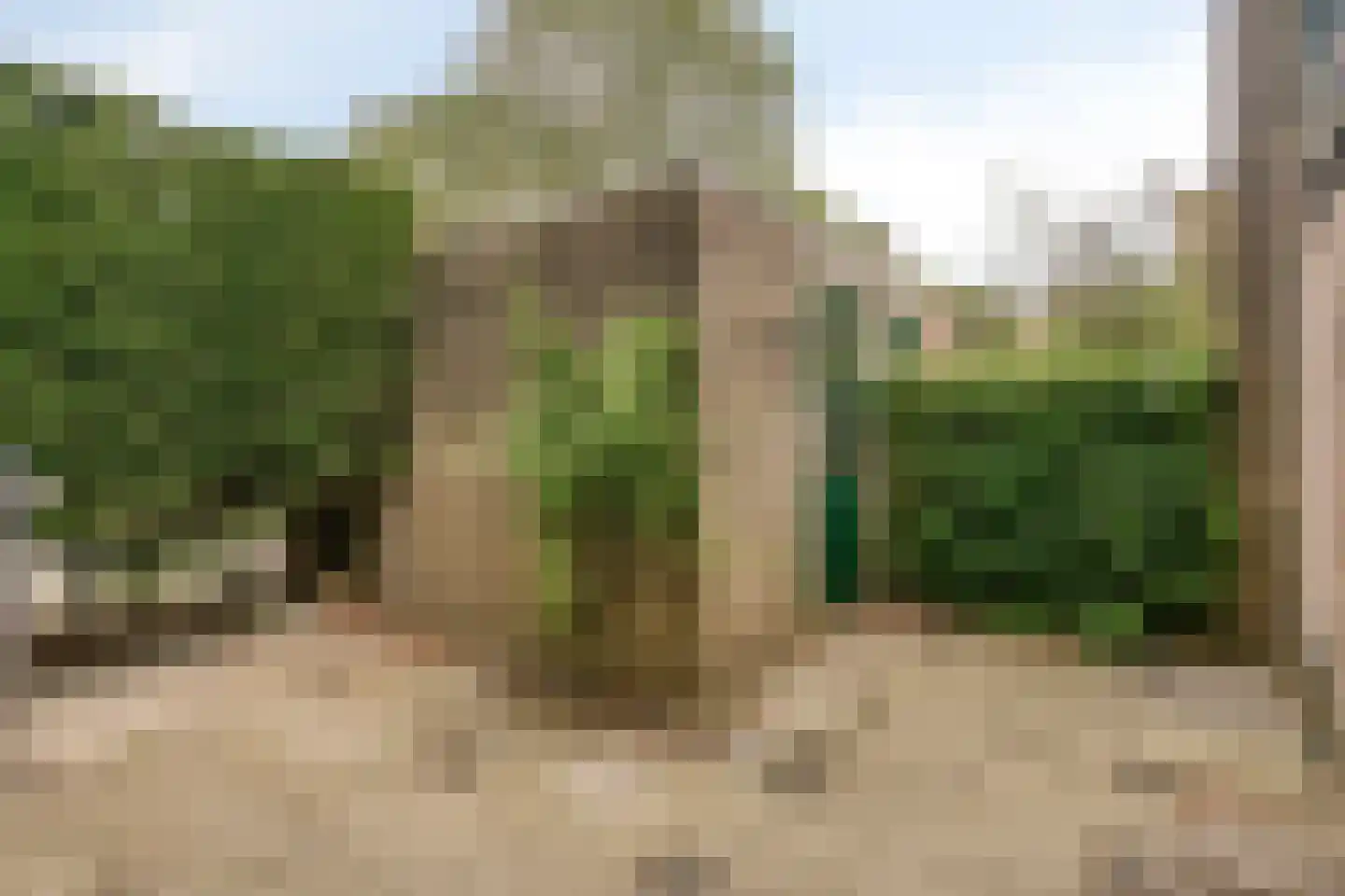 Prof. Molenaarlaan 55 Wassenaar thumbnail 7