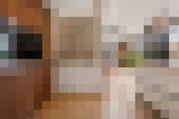 Prof. Molengraafflaan 9 Baarn thumbnail 14