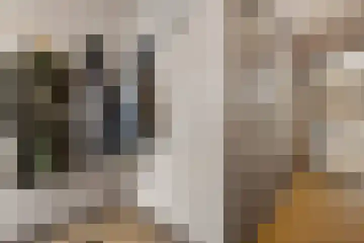 Prof. Molengraafflaan 9 Baarn thumbnail 18