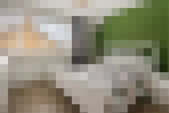 Prof. Molengraafflaan 9 Baarn thumbnail 24