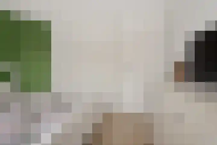 Prof. Molengraafflaan 9 Baarn thumbnail 25
