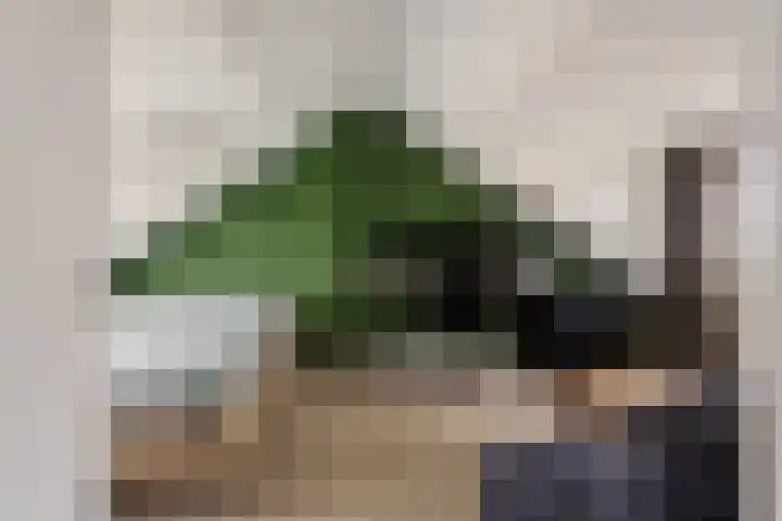Prof. Molengraafflaan 9 Baarn thumbnail 32