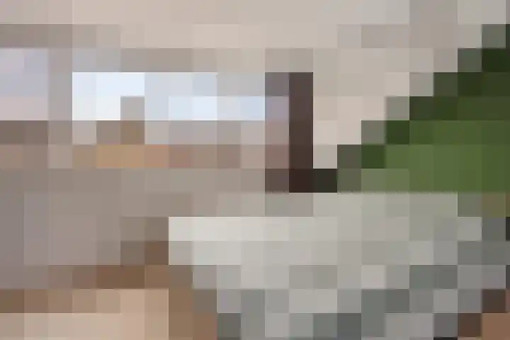 Prof. Molengraafflaan 9 Baarn thumbnail 34