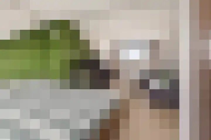Prof. Molengraafflaan 9 Baarn thumbnail 35