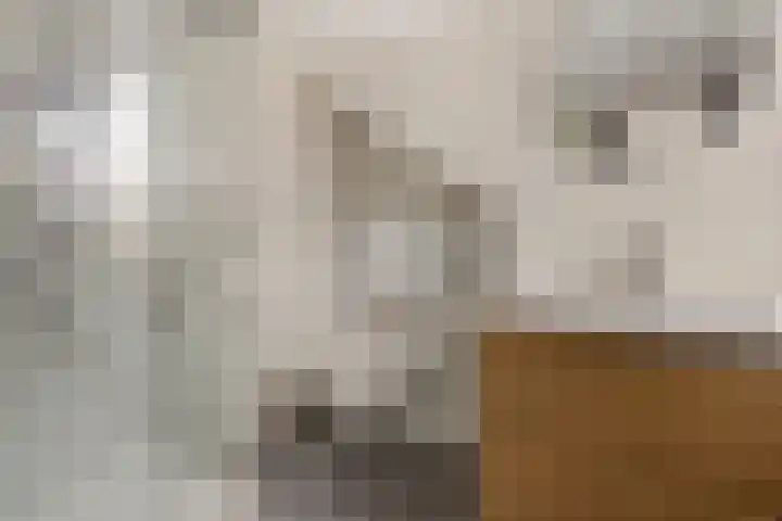 Prof. Molengraafflaan 9 Baarn thumbnail 37