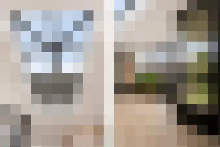 Prof. Molengraafflaan 9 Baarn thumbnail 4