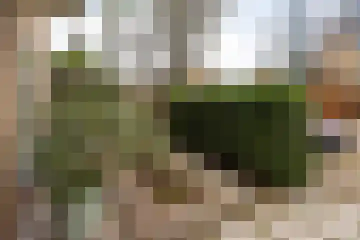 Prof. Molengraafflaan 9 Baarn thumbnail 41